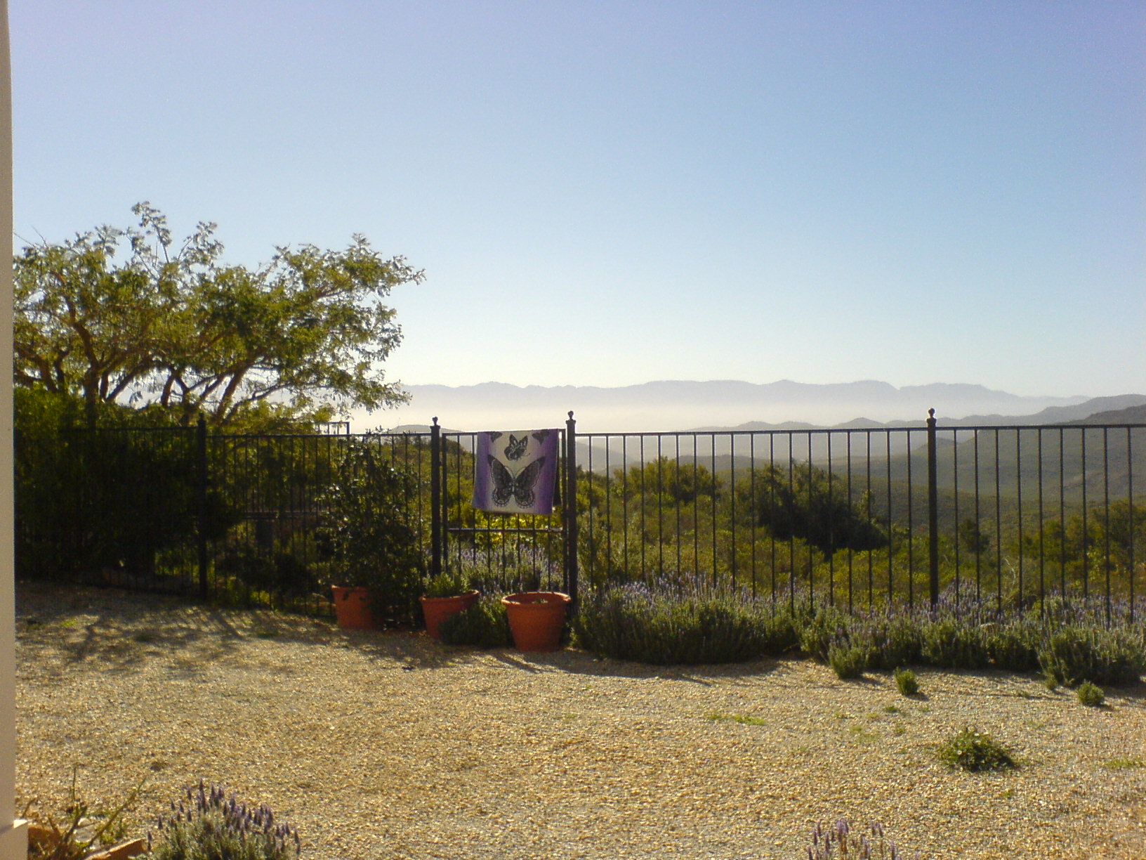 Distant Mountains Distant Mountain