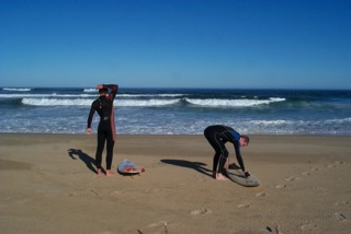 Surf’s Up